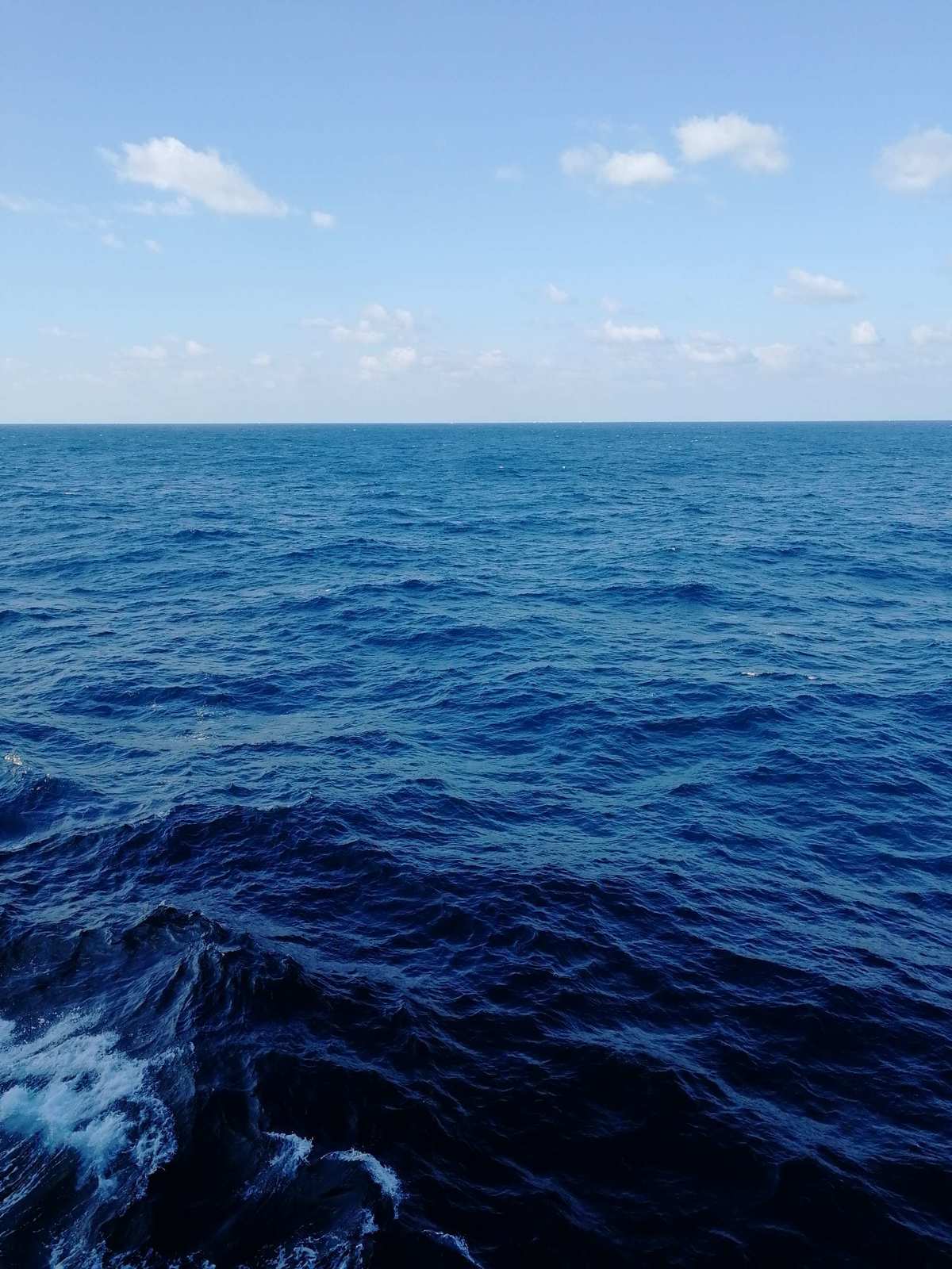 海洋旋律：海底总动员主题曲试听