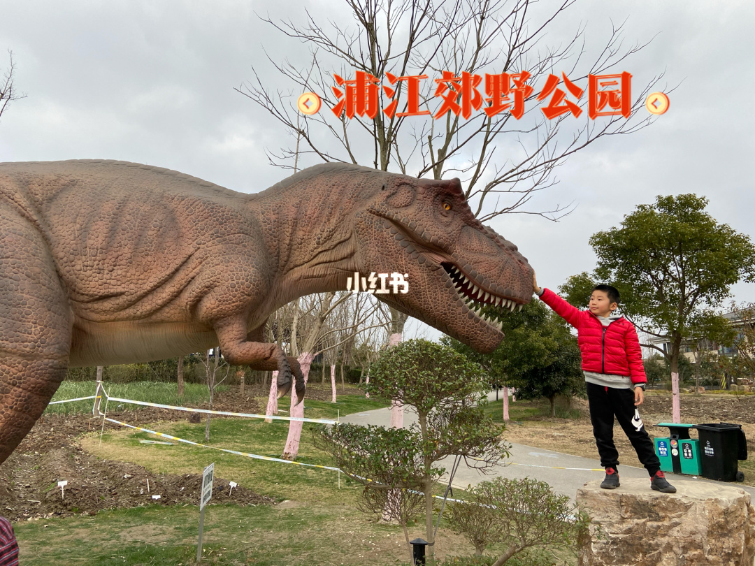 大富翁侏罗纪公园 游戏怎么玩_恐龙公园侏罗纪_恐龙公园--侏罗纪