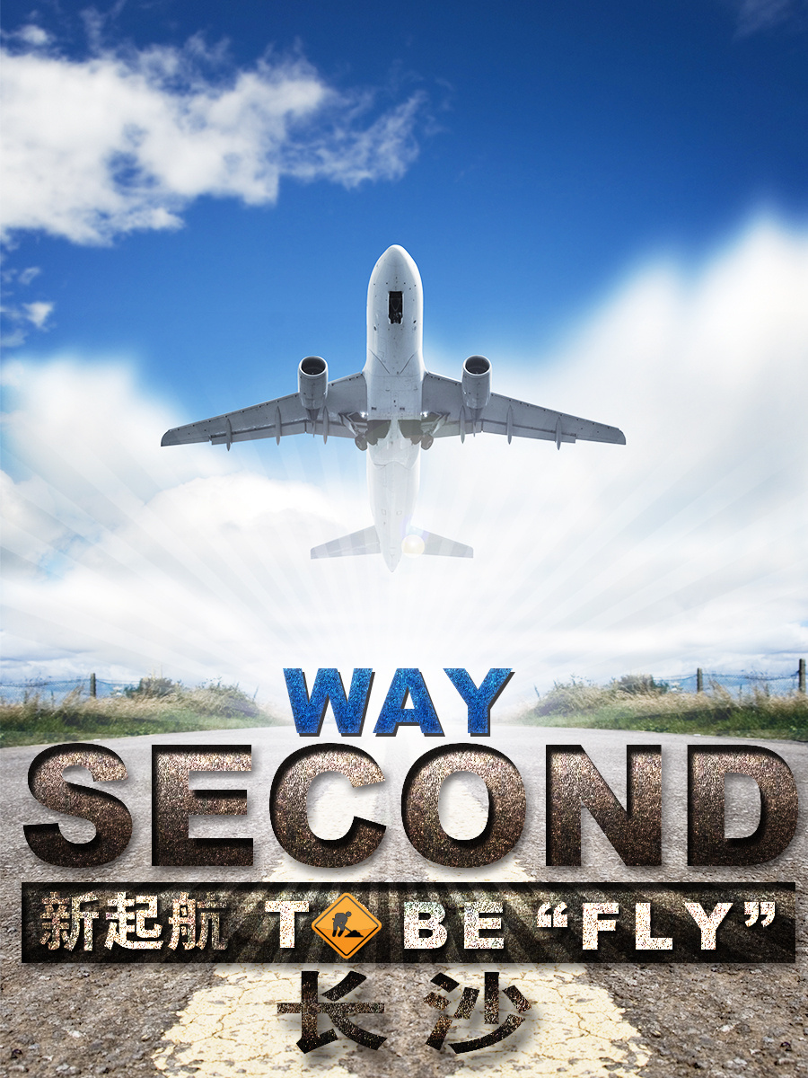 飞机中文版安装包_飞机中文版app下载_飞机官方下载安卓中文版