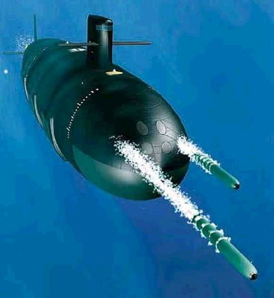 蓝鲸核潜艇对比_蓝鲸核潜艇_蓝鲸与潜艇
