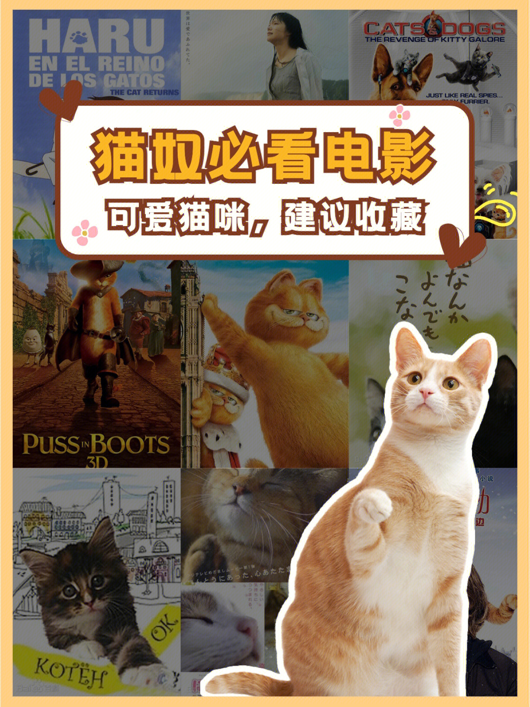 创作猫免费下载_下载猫_快猫免费下载