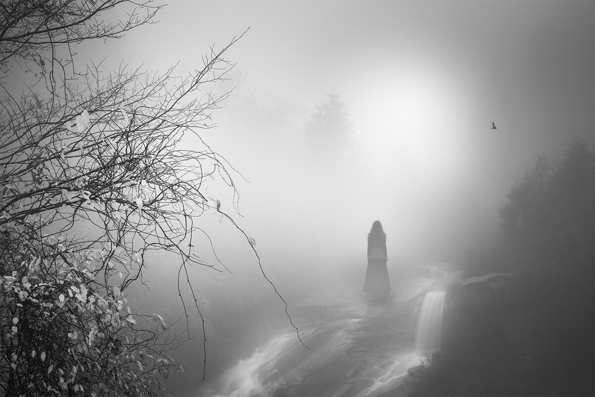 雾之本境：迷雾中的幻境