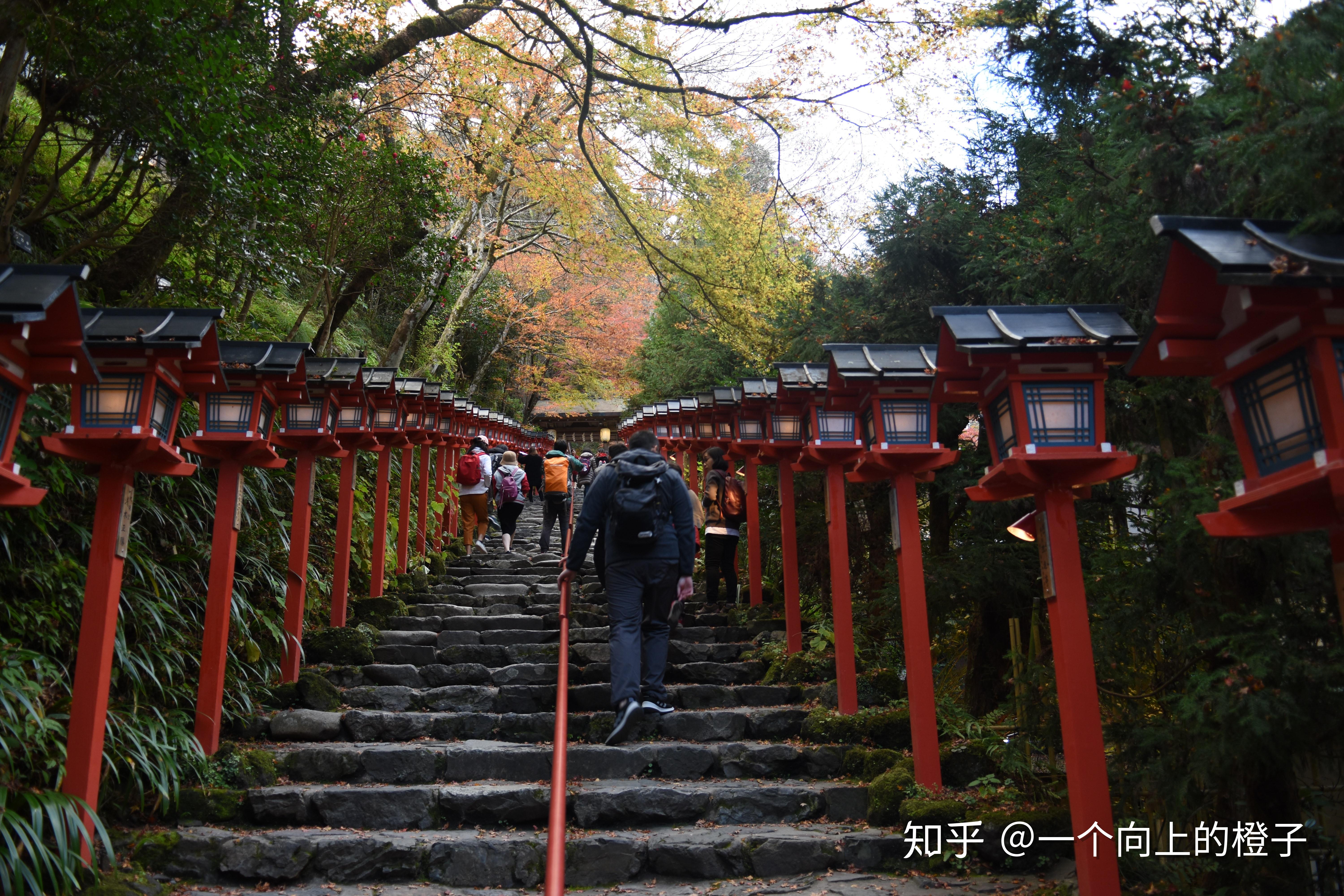 城市传播的最新神社传言，琉璃之谜揭晓