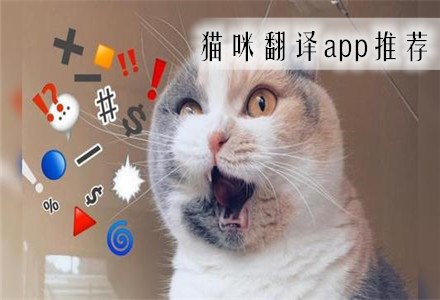 猫翻译器在线翻译_猫翻译器_猫翻译器软件下载