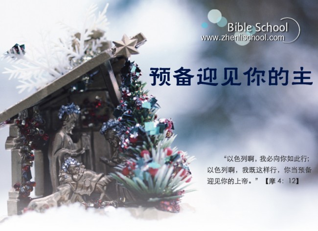 今日圣经免费下载_圣经今日免费下载中文版_圣经今日免费下载百度云