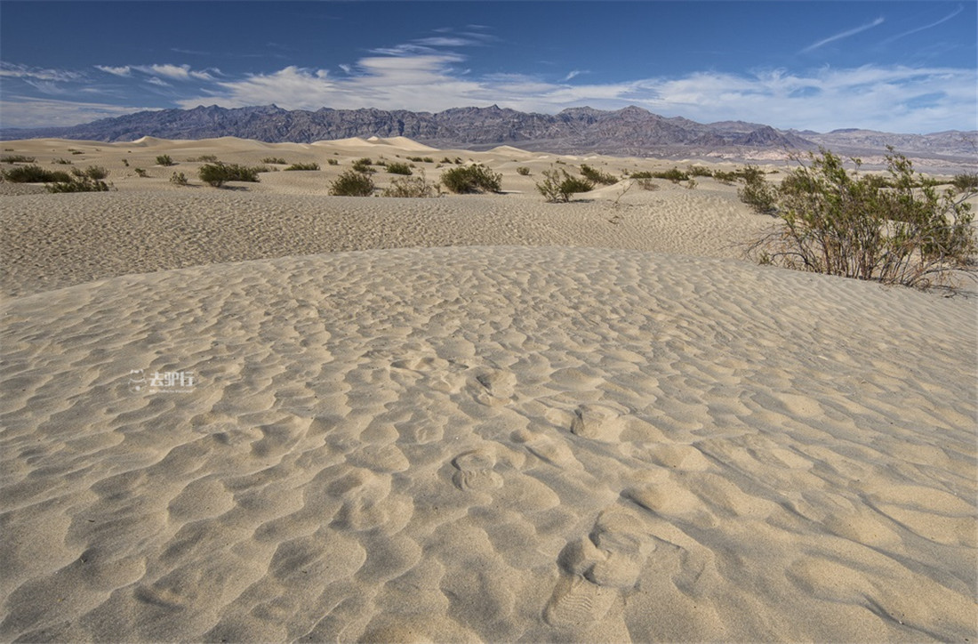 极限挑战：探寻沙漠生存之道