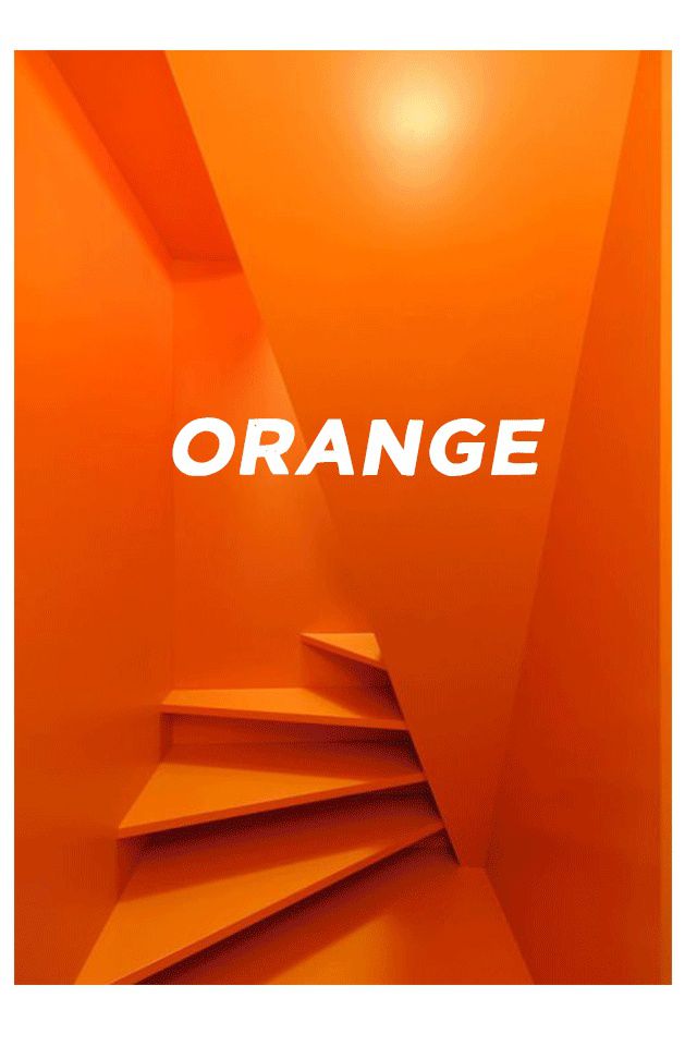 橙色视频_视频橙色长寿花_橙色视频是什么意思