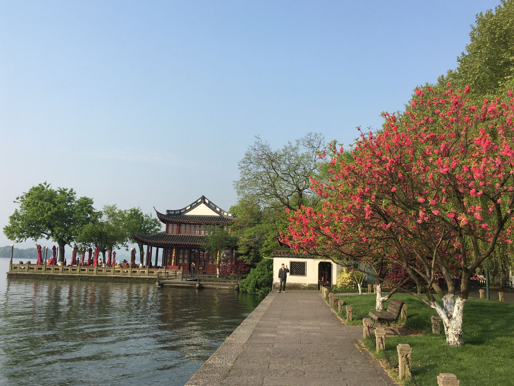 春天去杭州欣赏西湖十景更适合游览_杭州西湖玩什么_春天去杭州西湖哪个景点好