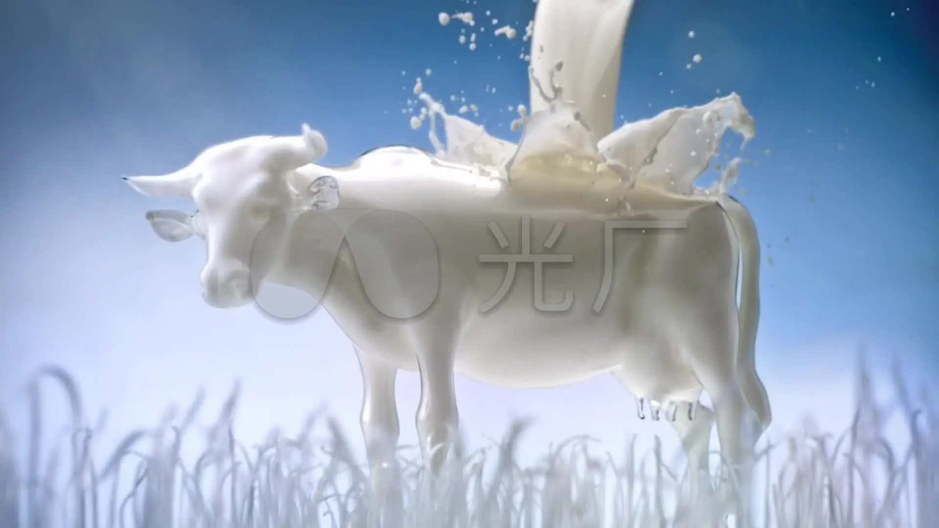 牛奶视频_视频牛奶的英文_视频牛奶怎么写