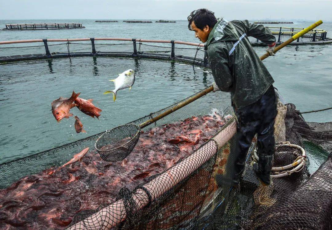 鱼腹浦_鱼腹浦_鱼腹浦