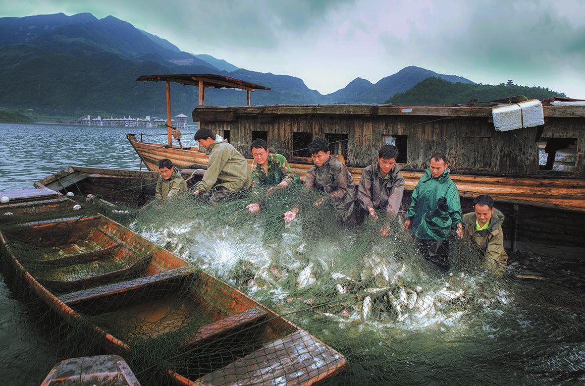 鱼腹浦_鱼腹浦_鱼腹浦