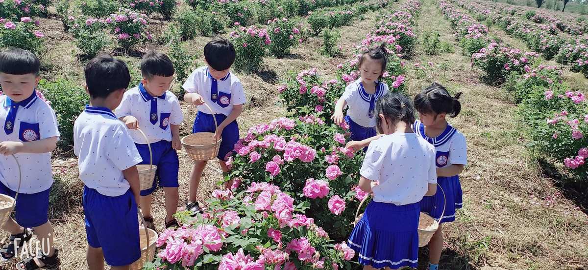 极品流氓采花录下载_极品采花侠_别人采花吾采草