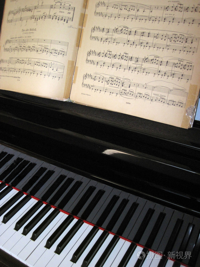 盛开的钢琴之森下-钢琴之森：神奇美丽的音乐之地