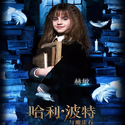 哈利波特1～8免费观看完整版中文-免费畅享魔法世界，中文版哈