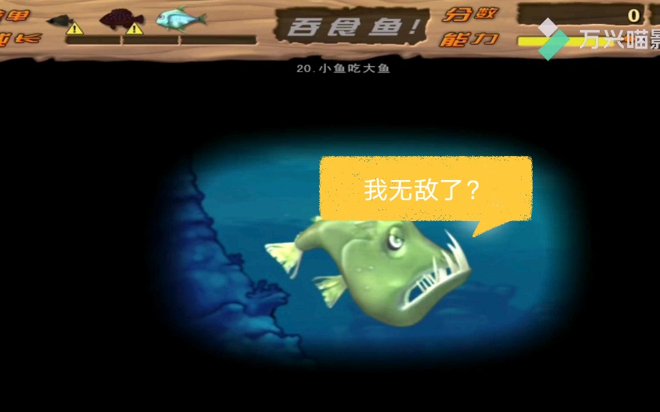 大鱼吃小鱼 手机游戏下载-你敢挑战更大的鱼吗？大鱼吃小鱼，游