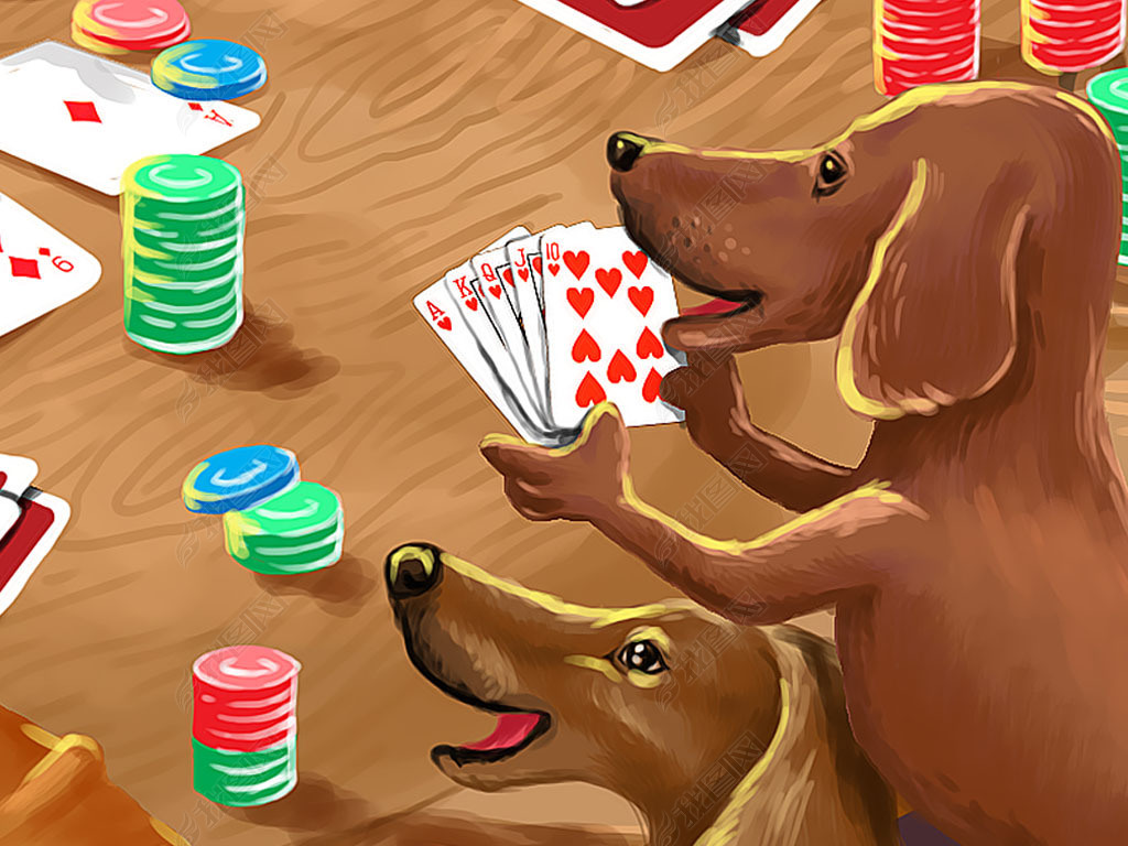 小动物纸牌游戏_纸牌做动物_狗动物纸牌游戏下载手机版
