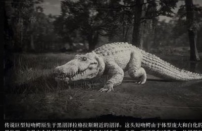 超大鳄鱼手机游戏下载_播放超级大的鳄鱼的图片_超大鳄鱼的图片