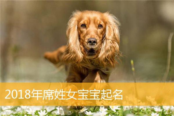 属狗的是哪年出生的-探究属狗人的年份和个性特征：中国传统文化中的十二生肖