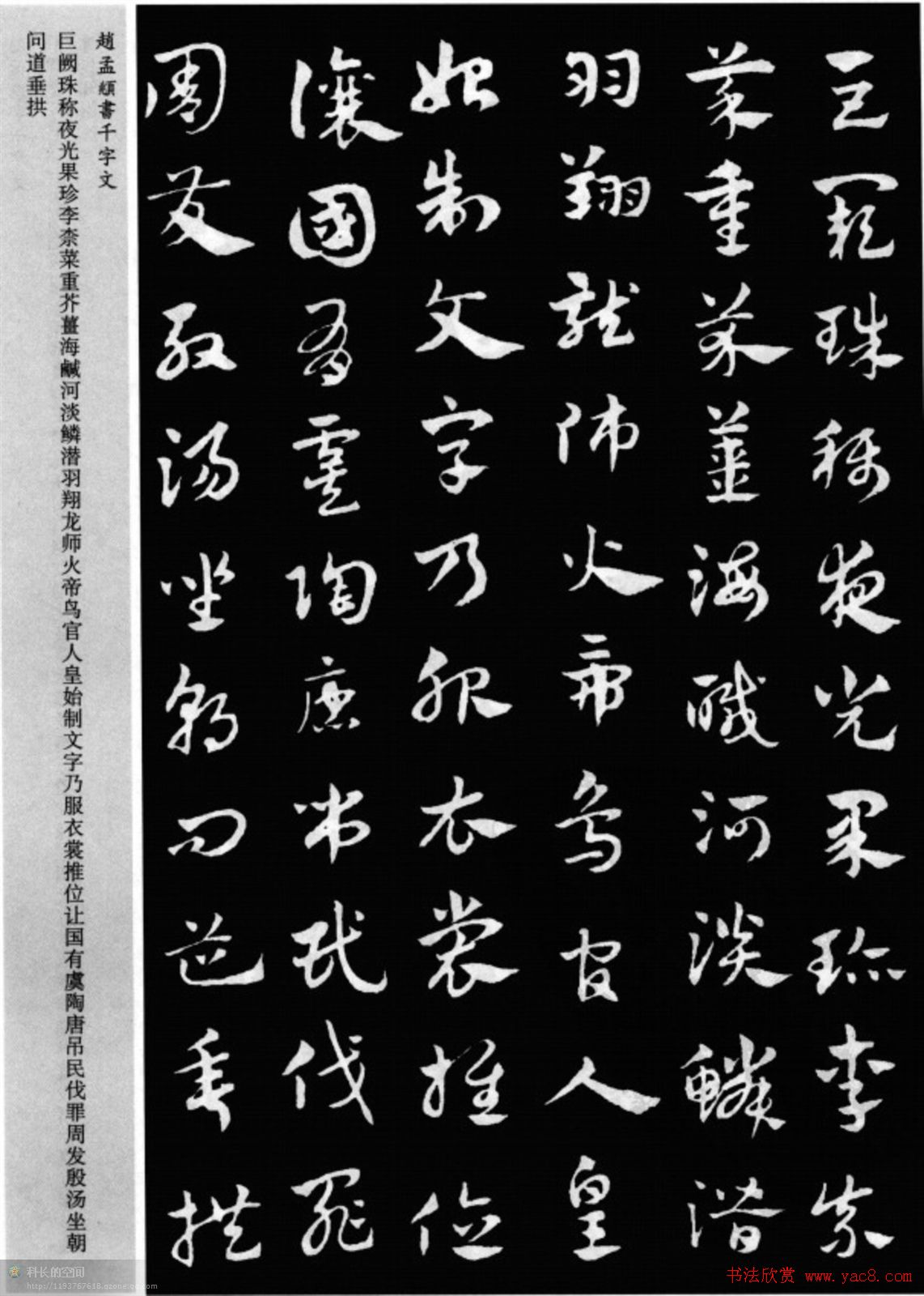 草书字体-探索中国草书艺术：特点、历史渊源与文化影响