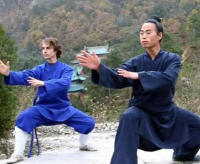 揭秘南斗圣拳：源远流长的武学奇迹，传承千年的中国武术文化