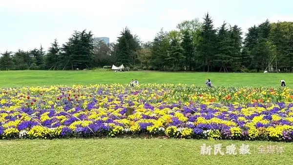 电影海上钢琴师在线观看完整版_海上钢琴家免费完整版观看_海上钢琴师电影免费观看完整版