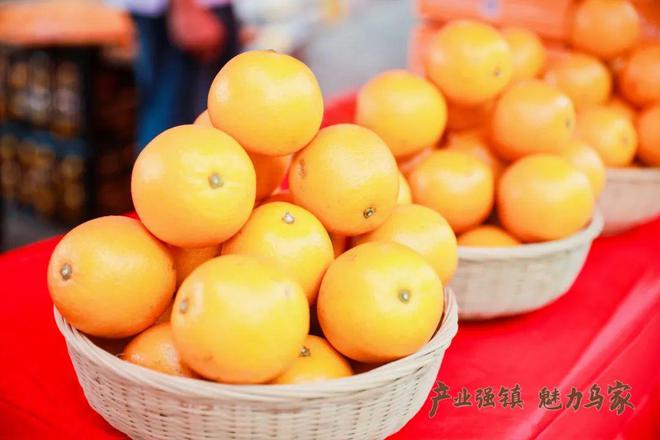 国外手机游戏推荐_国外手机游戏网站_Cs手机游戏国外