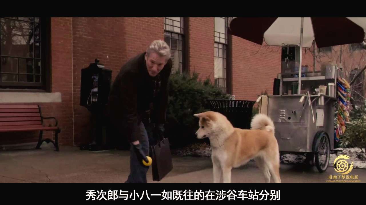 忠犬八公免费完整版_忠犬八公在线观看完整版_忠犬八公的电影在线观看免费