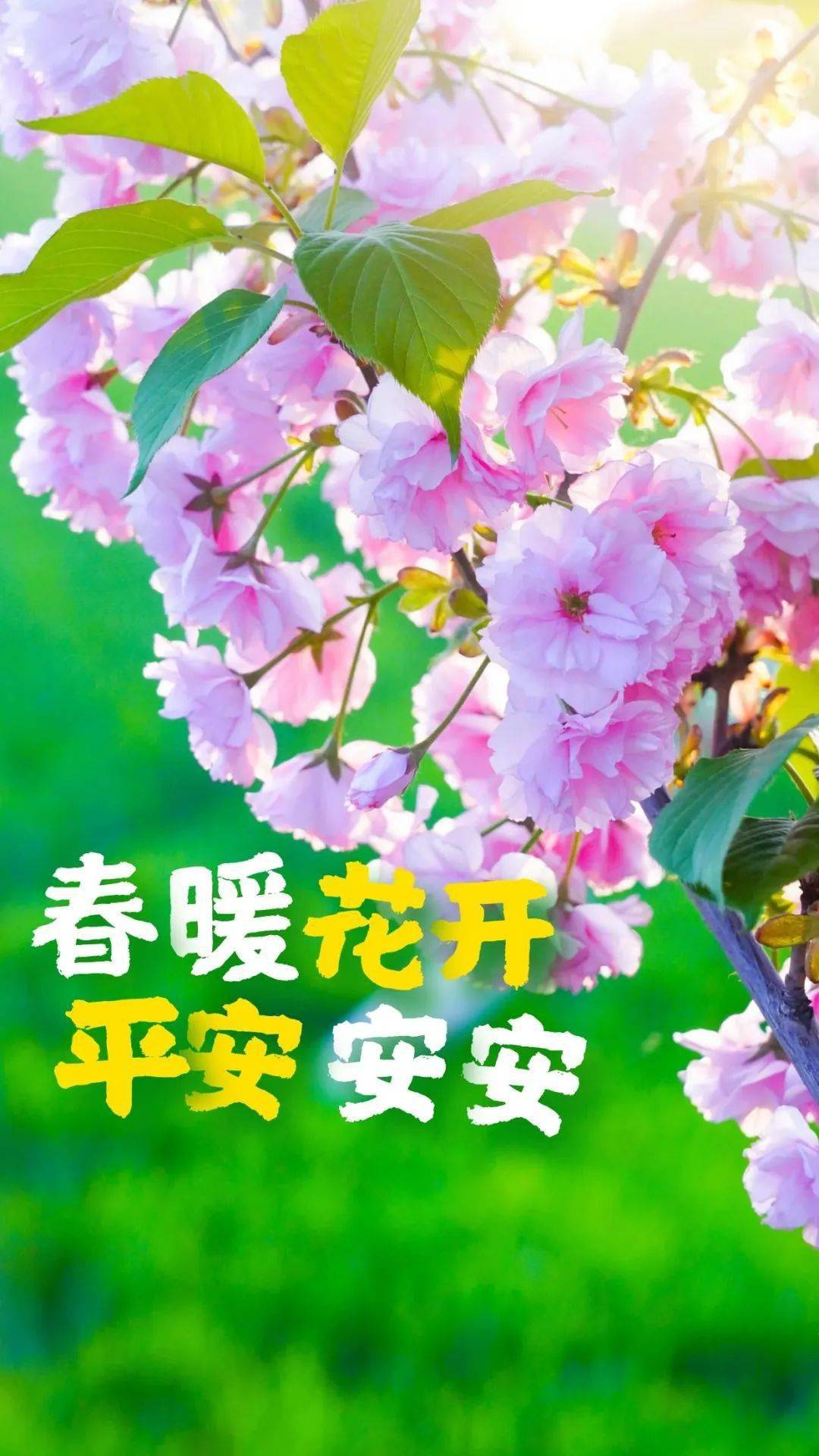 恋小帮_恋小帮是什么_恋小帮破解版本
