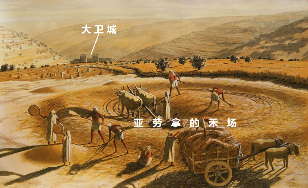 罗兹瓦尔_罗兹大学_罗兹