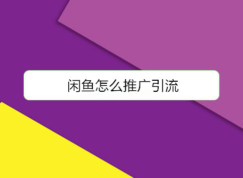 闲鱼pro版开通入口_闲鱼pro版怎么开通_闲鱼开通pro