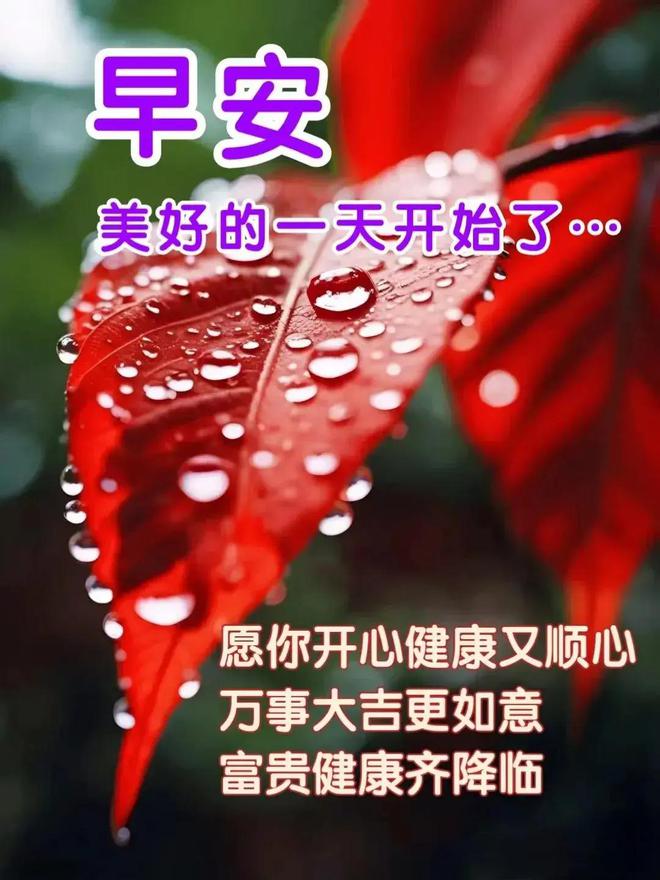 黑礁第一季ed_黑礁第三季ed_黑执事第2季ed中文
