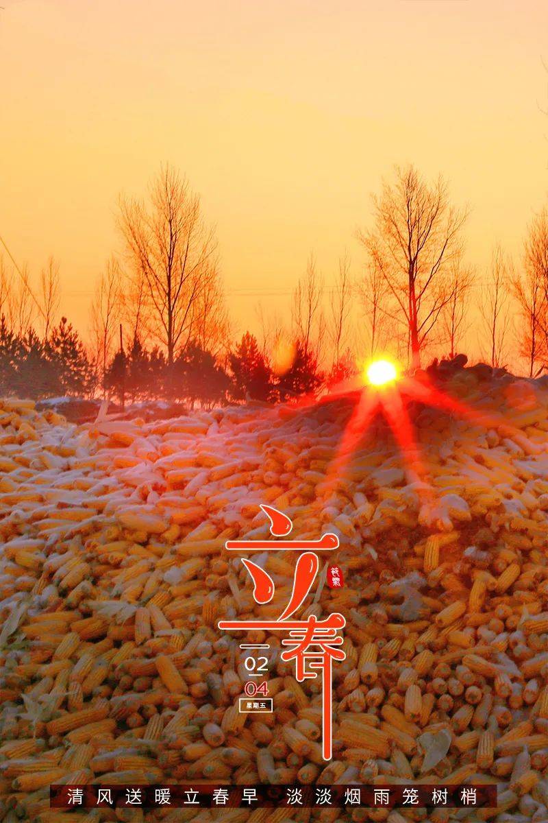 立春三候：东风解冻、蛰虫始振、鱼陟负冰，感受自然循环之美