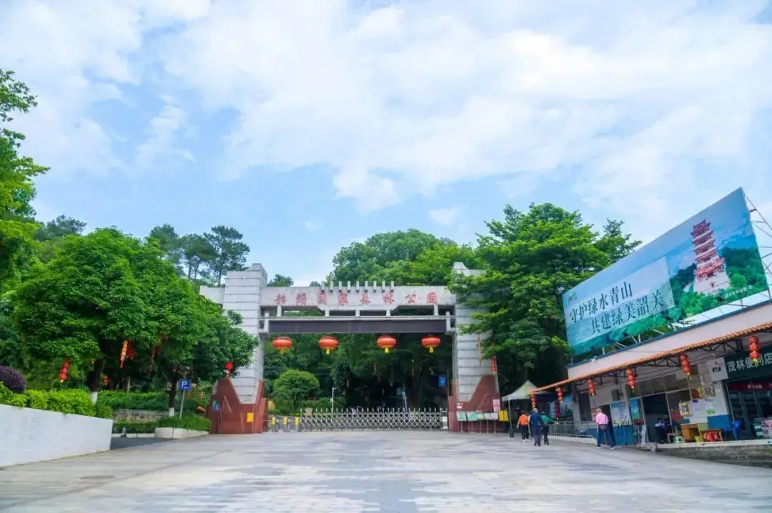 大空翼的游戏_大空翼游戏手机桌面_fc游戏大空翼