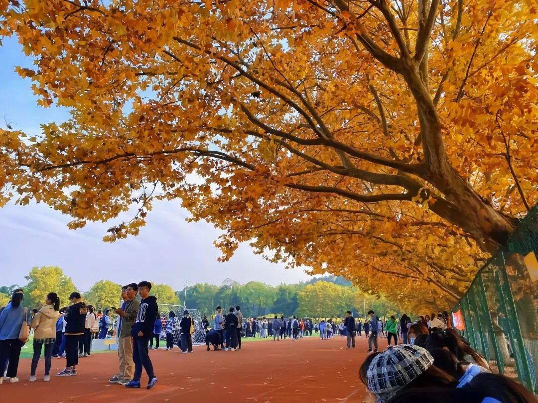 奈川河是什么_堀川奈美_奈川12街6号