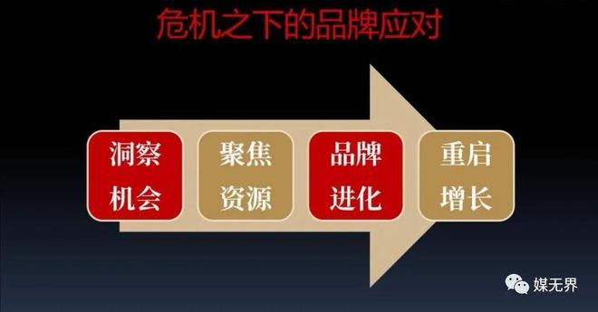 某科学的心理掌握-探索人心之旅：从好奇迷茫到得心应手的心理学