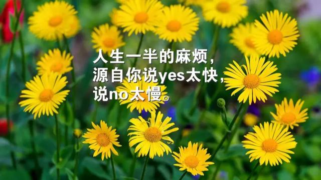 凛音凉子_立花凉子_立花訚千代立花宗茂