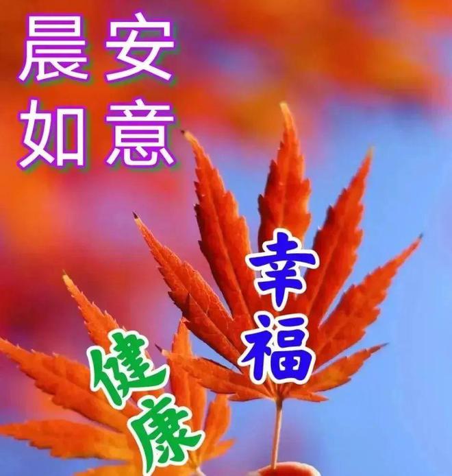 月嫂_3月28日_月字旁的字有哪些
