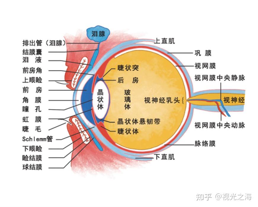 3d眼镜玩游戏视频_3d眼镜游戏手机如何旋转_手机3d眼镜模拟器