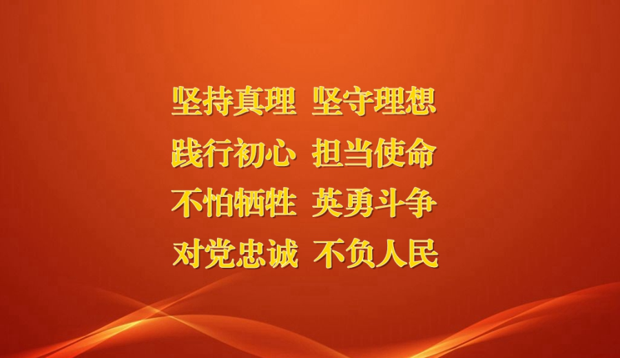 一条狗的使命：跨越生死的忠诚与爱，陪伴我们直到永远