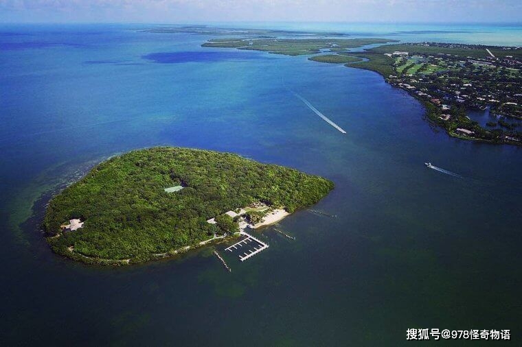 夏日午后的池面：心灵的避风港与宁静的秘密