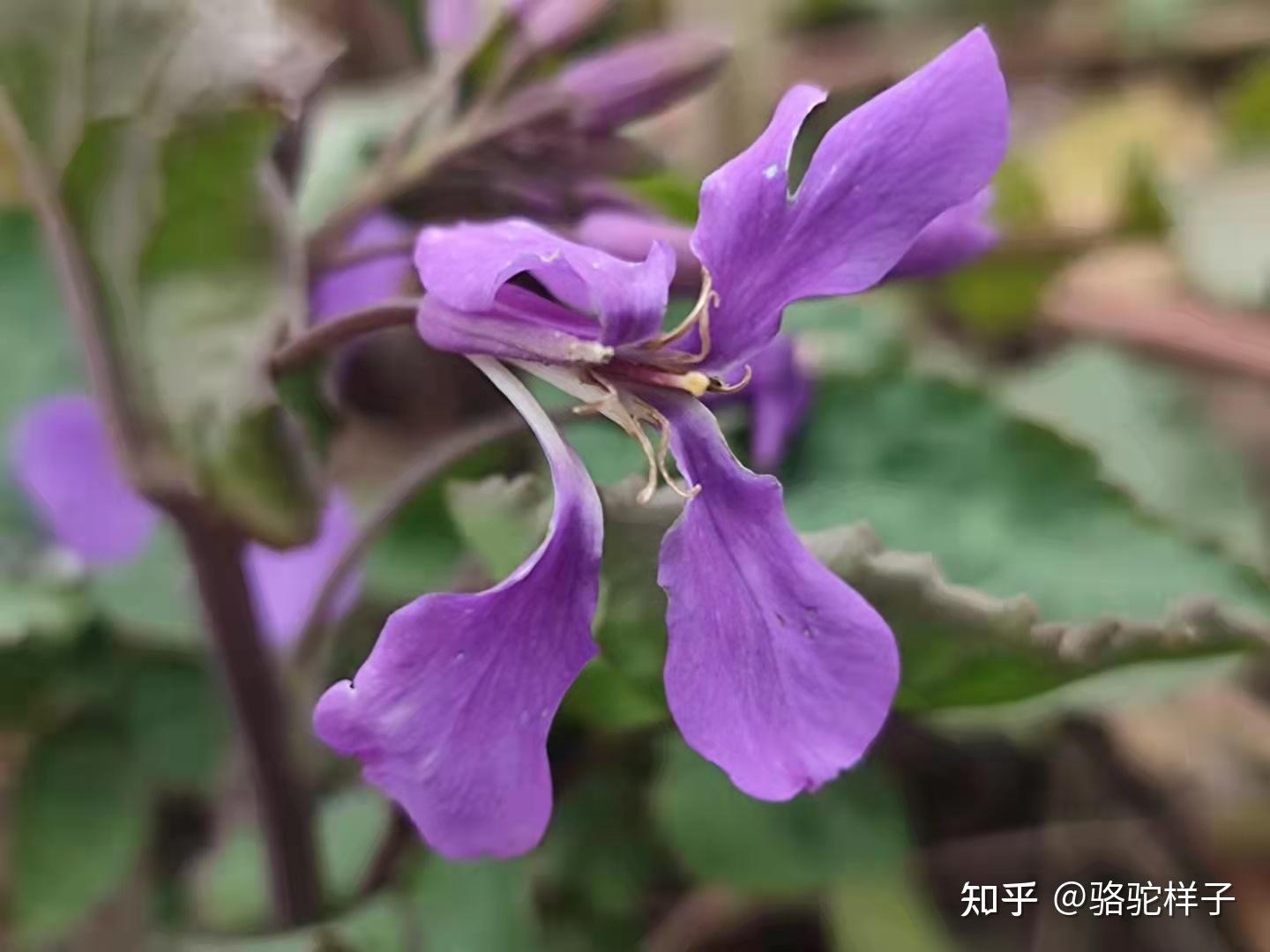 相泽消太x你_相泽消太x你_相泽消太x你