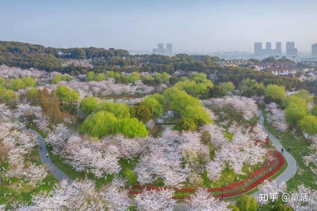 卷町操_卷町操_卷町操