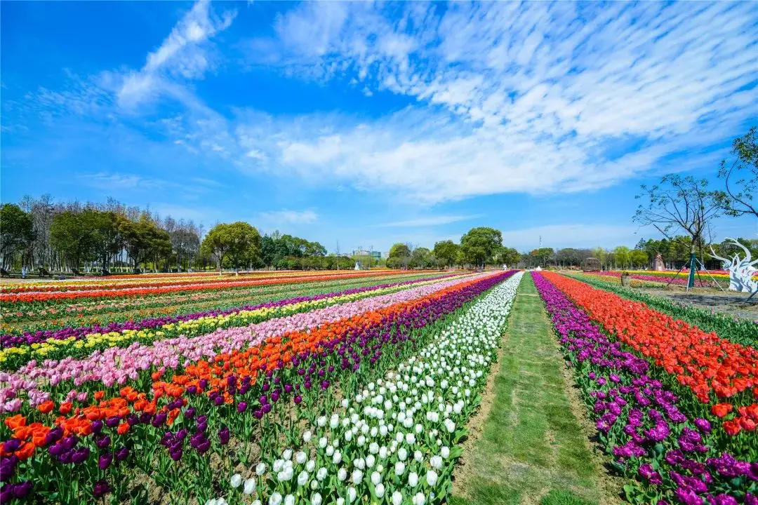 夏天年轻人爱吃什么_夏天年龄_2022年夏天