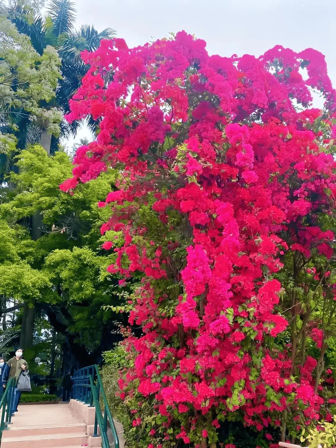 暴力都市手机游戏怎么玩_暴力都市手机游戏大全_都市暴力手机游戏