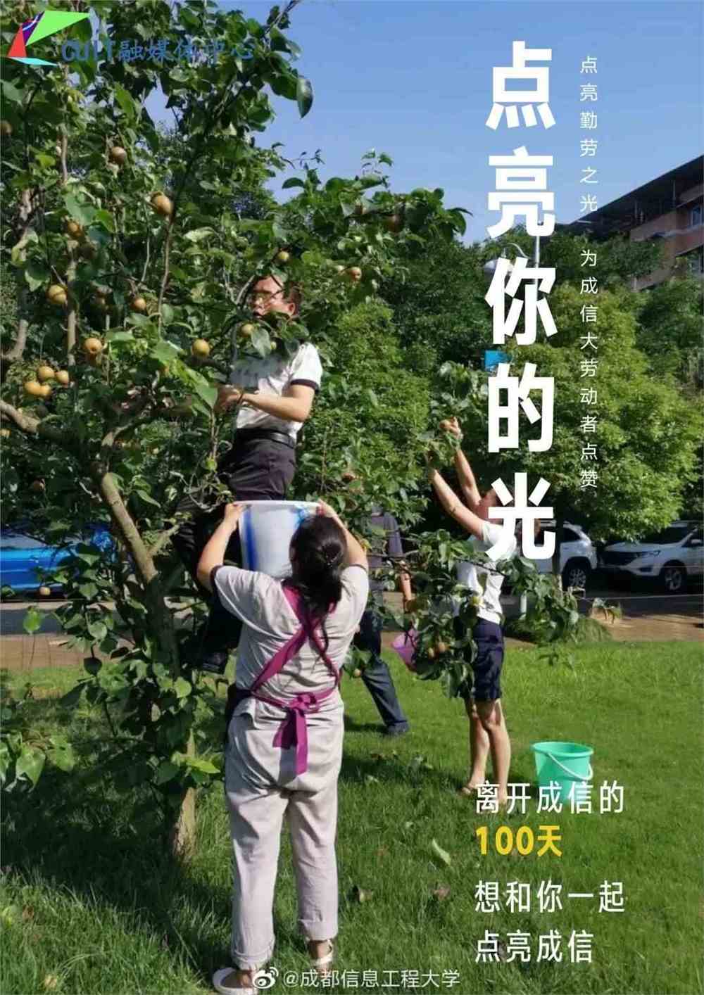 杨晨汐名字的寓意_杨晨_杨晨羽毛球拍