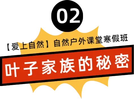 手机编程做游戏_游戏编程手机软件_编程游戏怎么编手机游戏