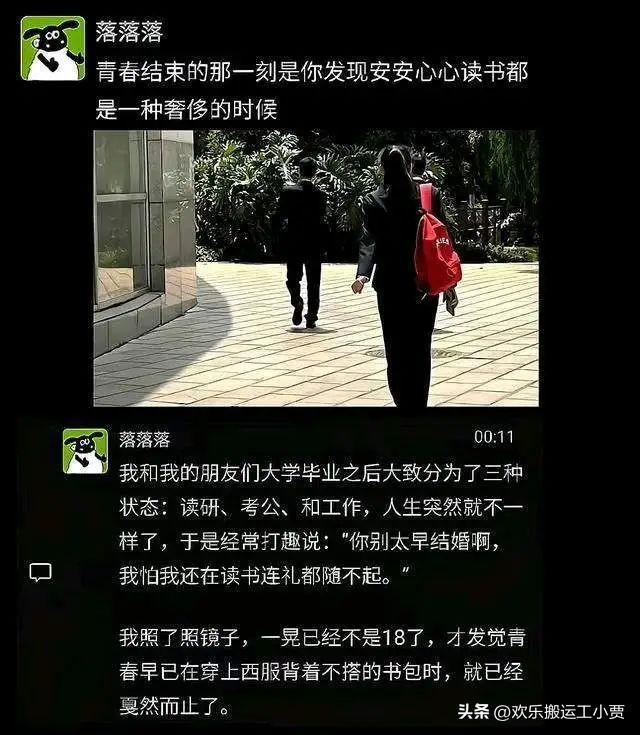 金狮播放器无法点开该怎么办_手机金狮播放器怎么用啊_金狮播放器