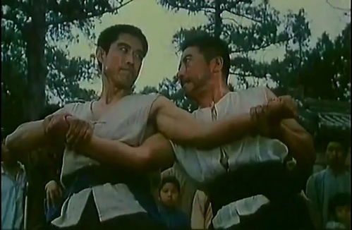 电影功夫片武林志,老电影武林志1982完整版免费