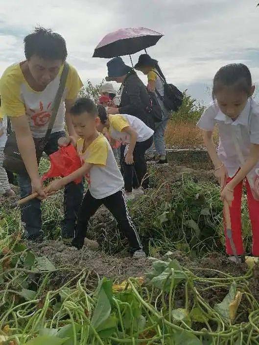 涂色天地游戏下载 