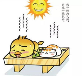 图片照片修复 
